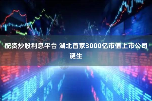 配资炒股利息平台 湖北首家3000亿市值上市公司诞生